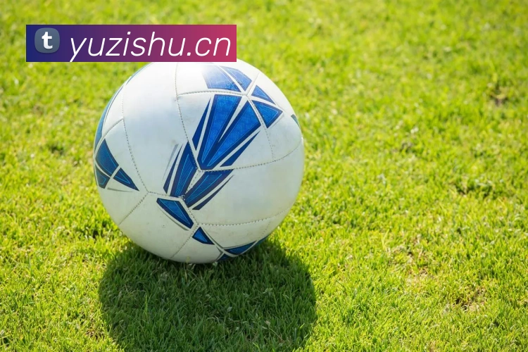 博亚汇app品牌故事