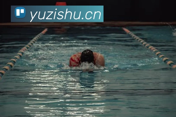 博亚汇app服务体系